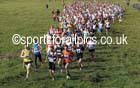Senior mens North East Harrier League, Cramlington. Photo: David T. Hewitson/Sports for All Pics